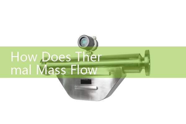 How Does Thermal Mass Flow Meter Work: Introduces a controlled temperature spike into the process line, calculating mass flow based on heat dissipation.